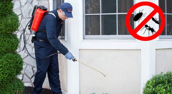 Yenifakılı Fare İlaçlama böcek ilaçlama ve haşere kontrolü — ilaclama-tr.com